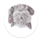 Preview: PopSockets Cat Nap